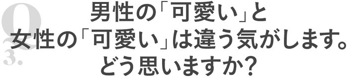 Q3男性の「可愛い」と女性の「可愛い」は違う気がします。どう思いますか？