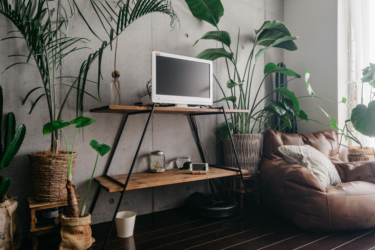 Chloros クロロス Cut Through 1 step テレビボード … 【公式通販】