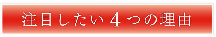 注目したい4つの理由