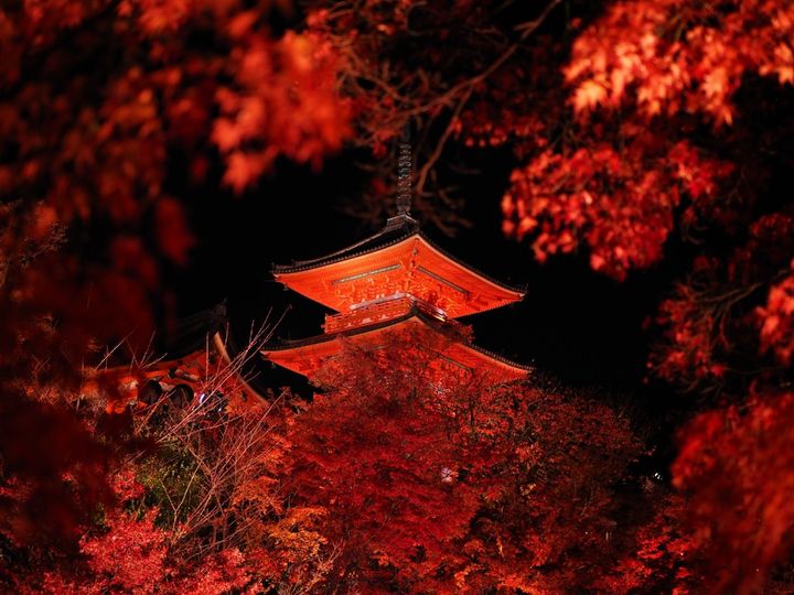 都道府県別1位は？