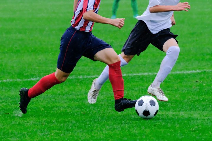 よく観戦するスポーツは？