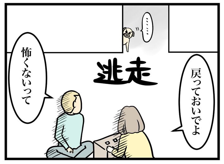 ひか（ひかさん一家でゴゴッゴー！）