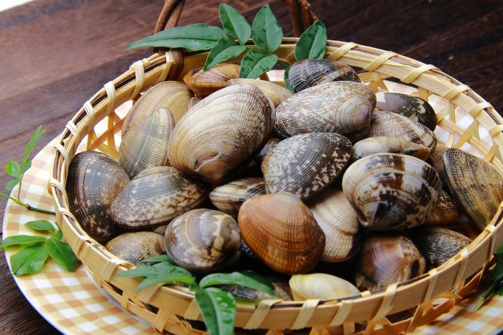 「アサリ」（写真）と「シジミ」の違いは？