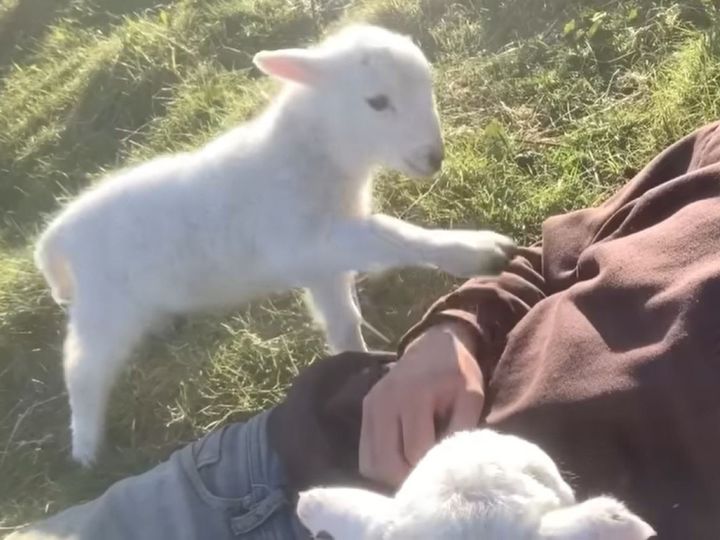 出典：Lee Walters