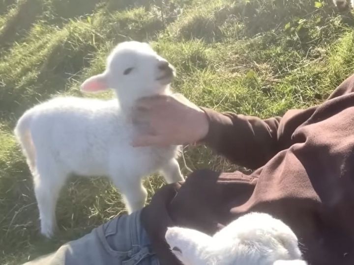 出典：Lee Walters