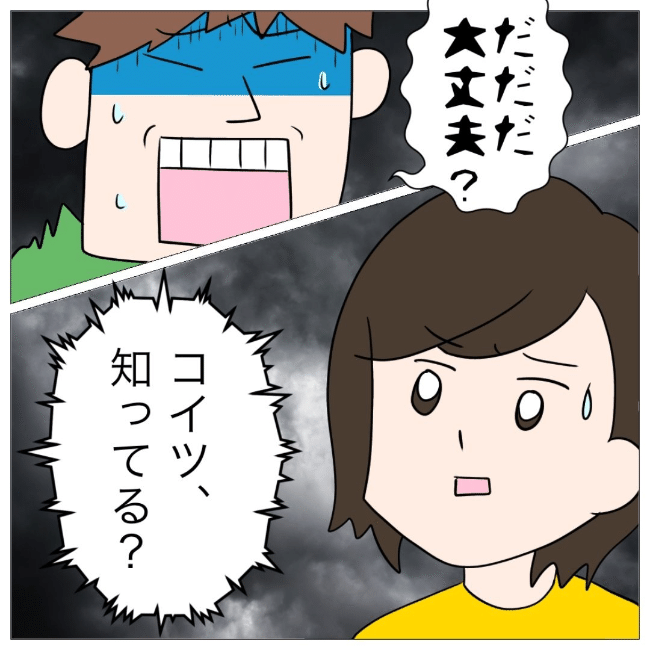 イケメン夫の逃亡劇