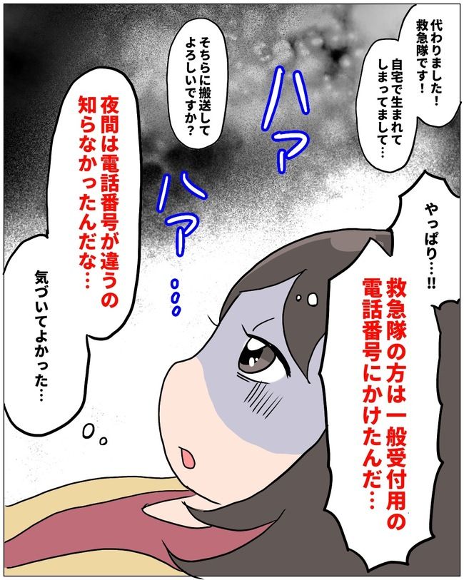 まさかの自宅出産6-13