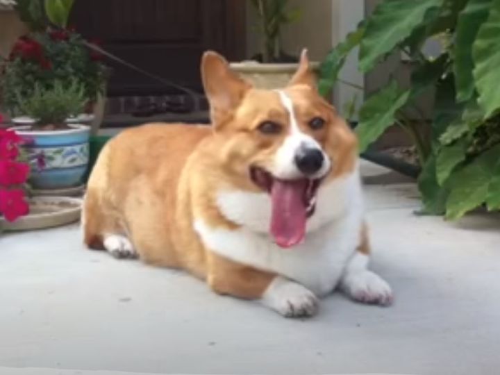 掃除機でおなかを…！