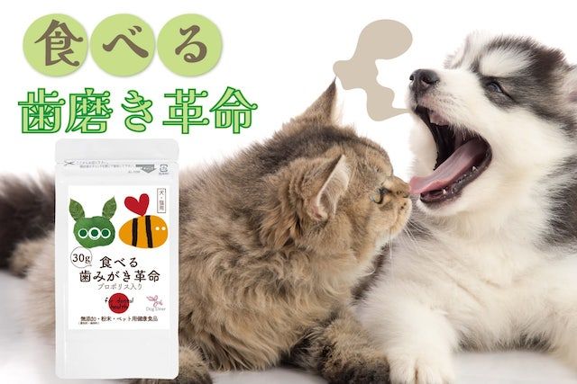 販売総数7万袋超え】犬・猫の口臭を3秒でケアができる無添加サプリ｜今