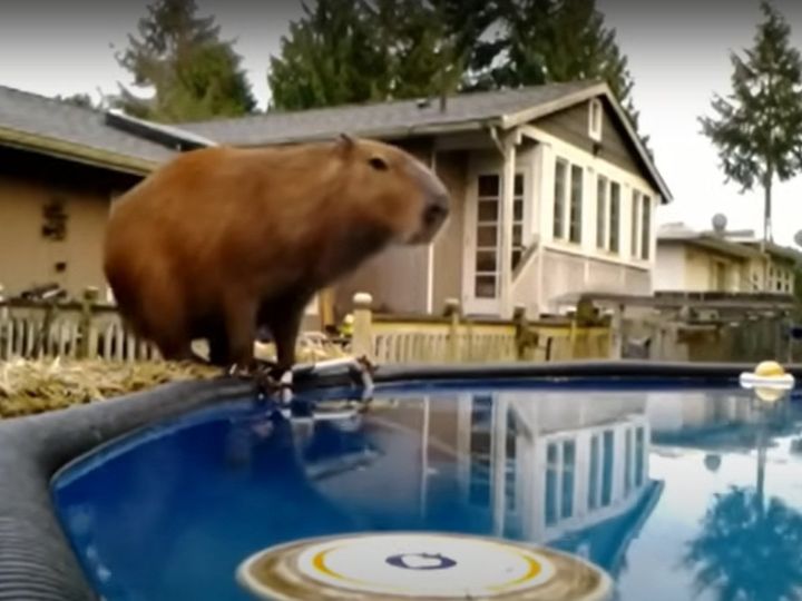 「無」の表情…