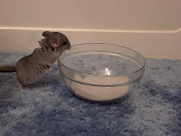 初めてのお風呂にドキドキ…