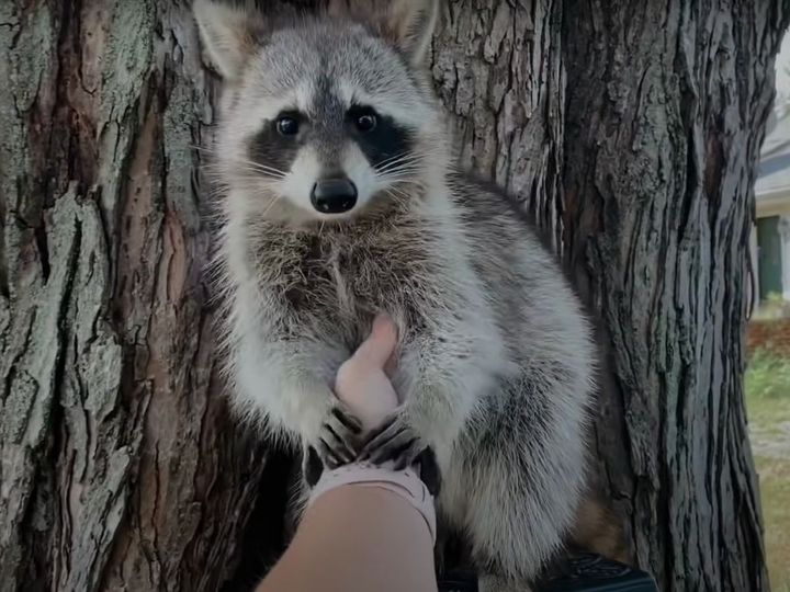 こんなに人懐っこいなんて！