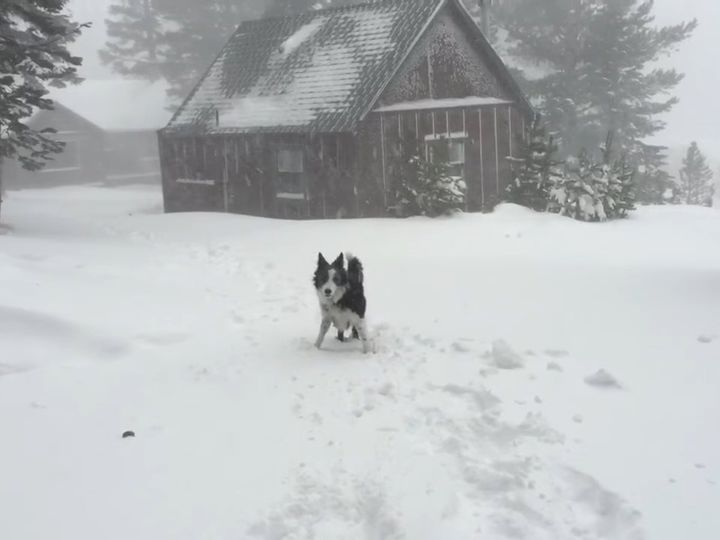 喜びが大爆発！