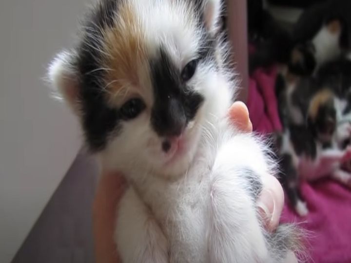 めちゃくちゃ眠そう…！