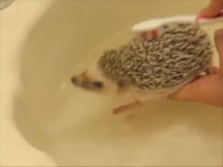 お風呂を“全力拒否”！