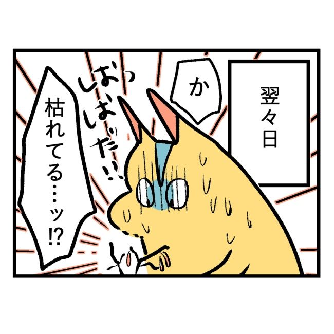 隣人はストーカー20