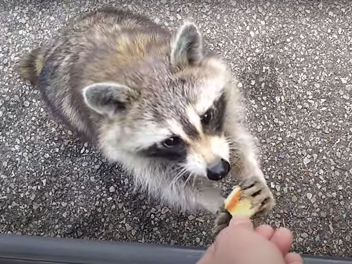 パンで仲良しに！？