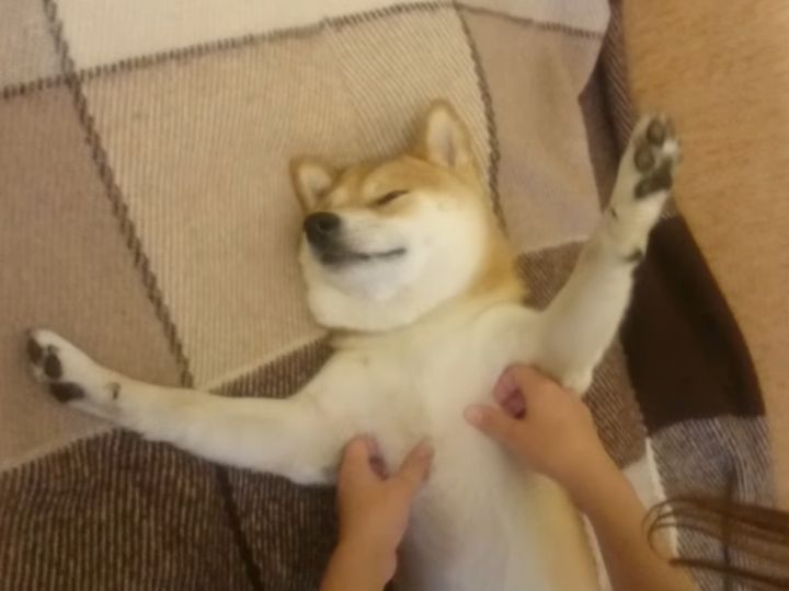 リラックスしすぎ！？