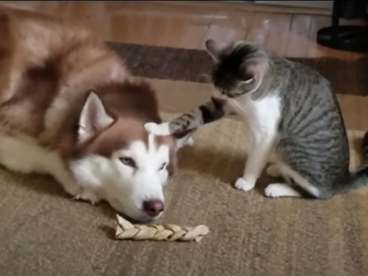 かなりのいたずら好き！？