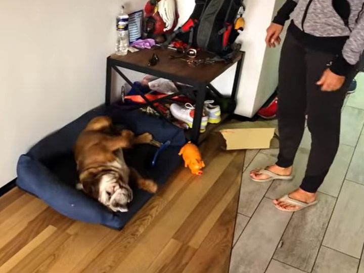 そんなに嫌なの！？