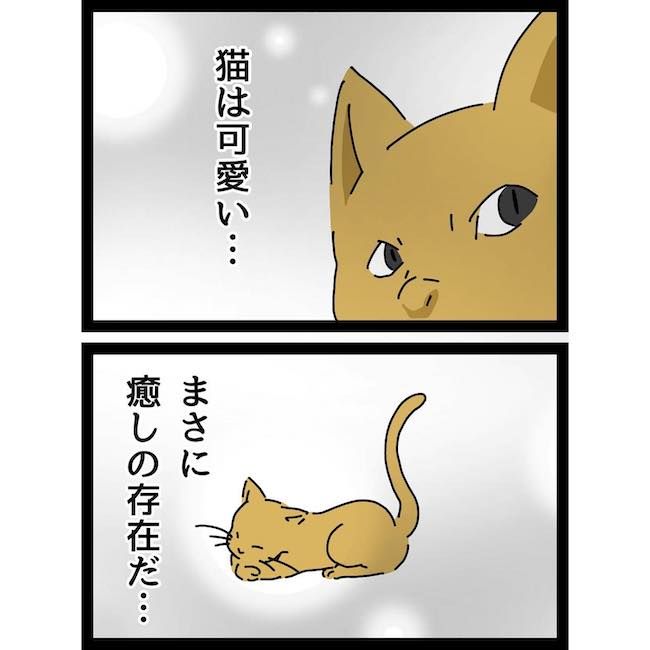 義母の猫にわが子が傷つけられた話最終話_16
