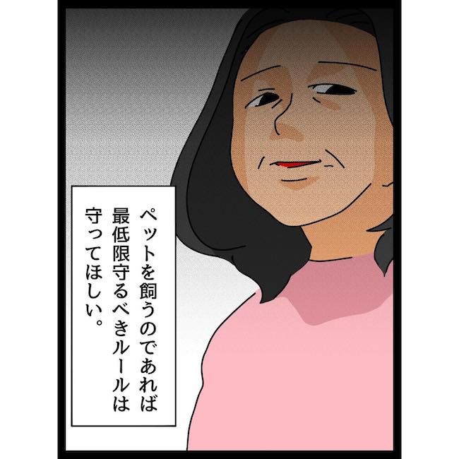 義母の猫にわが子が傷つけられた話43_17