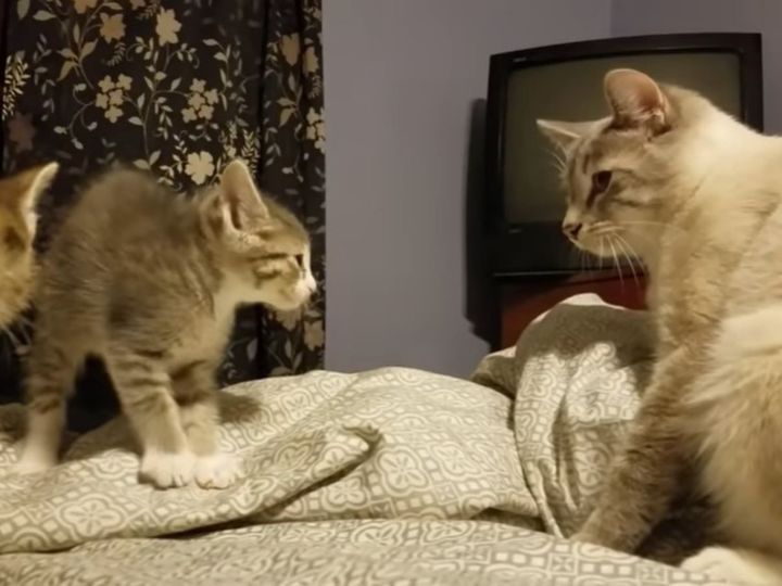 緊張感がすごい…！