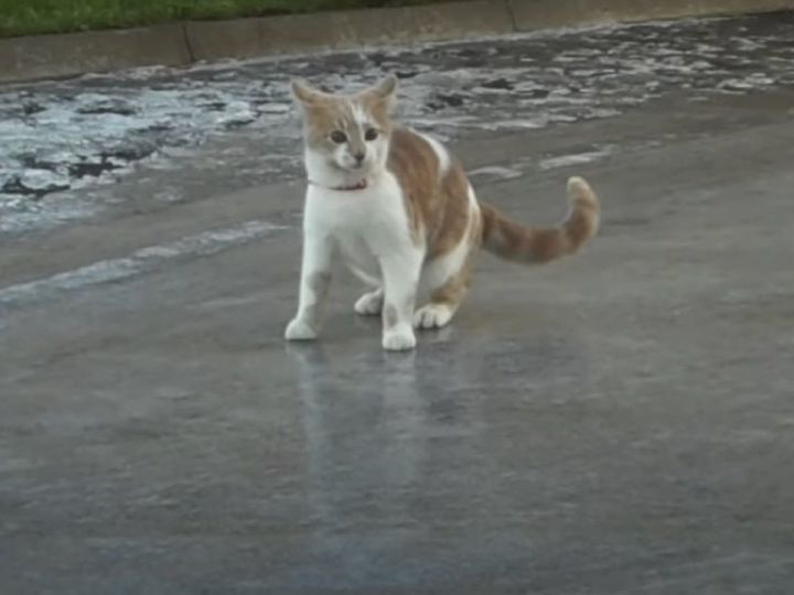 足元が大変なことに！