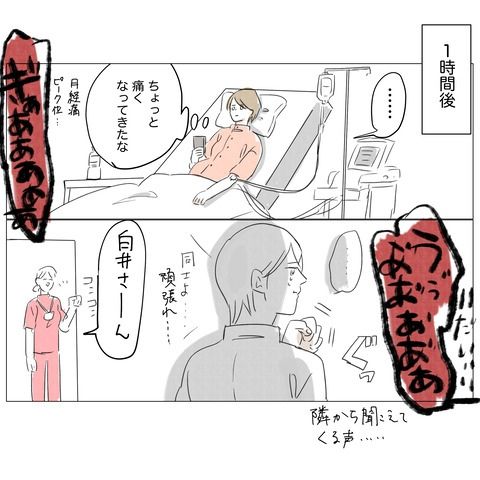 無痛分娩と産院のグルメ 6