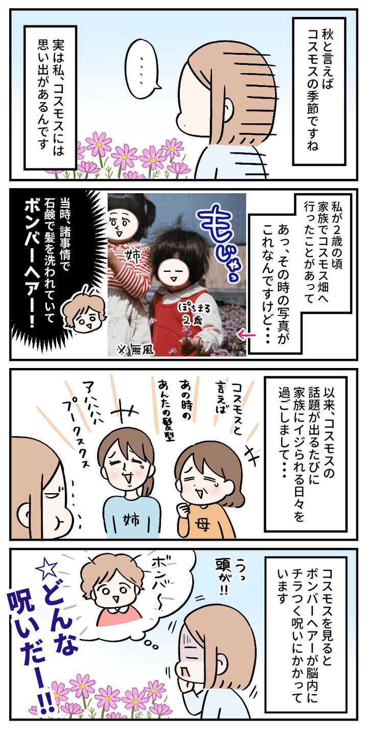 家族にイジられるネタに……コスモスの思い出 | TRILL【トリル】