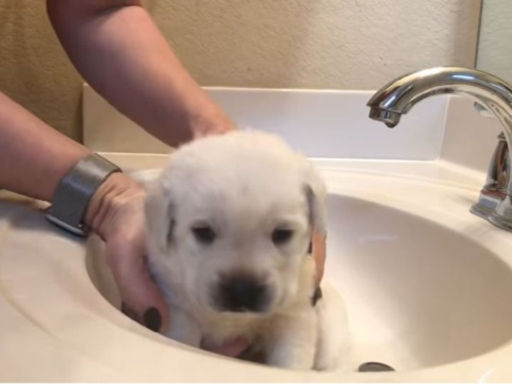 緊張してる…！