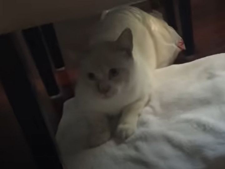 自分の失敗で大パニック！