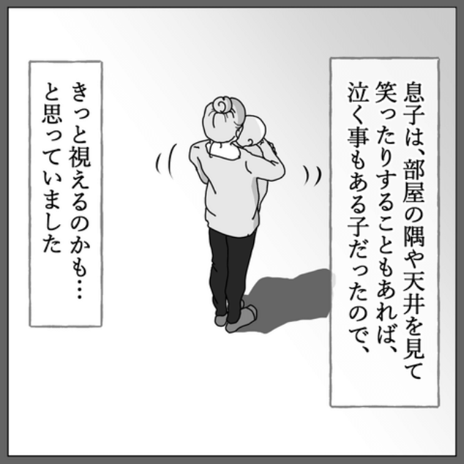 視える息子 1