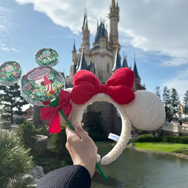 日本未発売】WDW フロリダディズニー ディズニー クリスマス