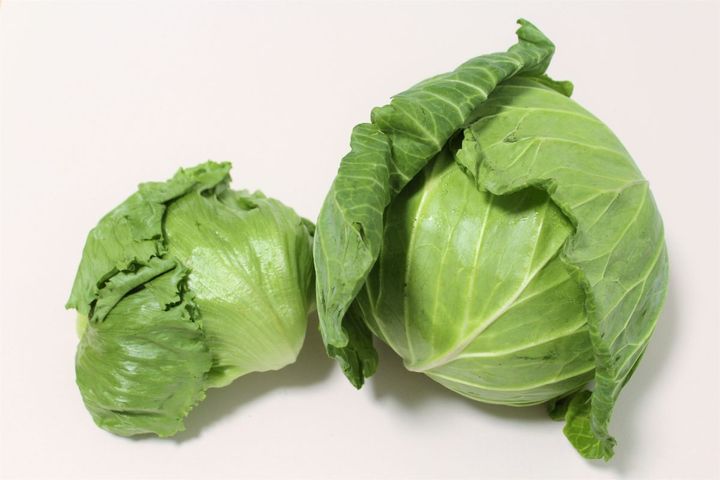 見た目は似ているけど、栄養素は違う？