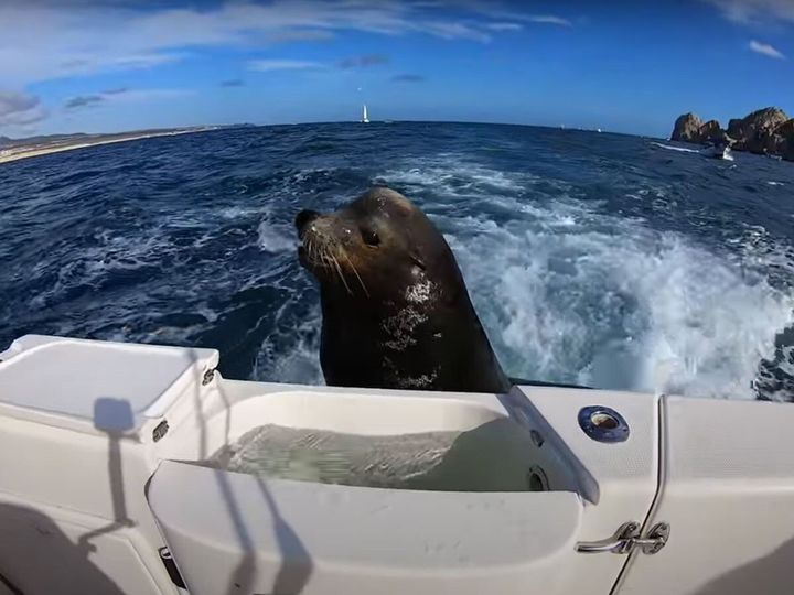 警戒心ゼロ！？