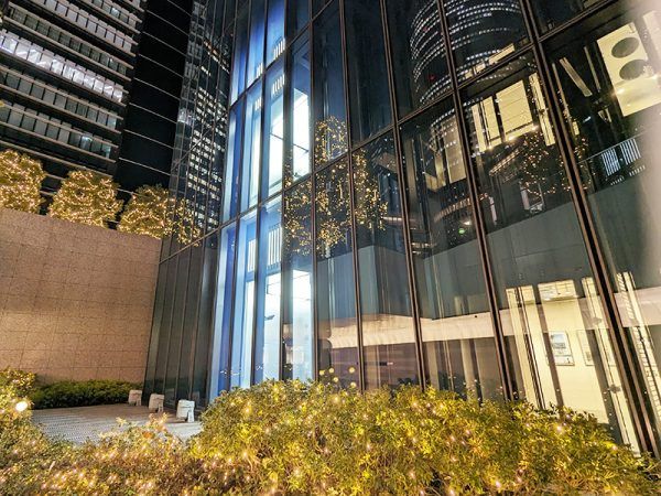 PXL_20231116_104843437.NIGHT