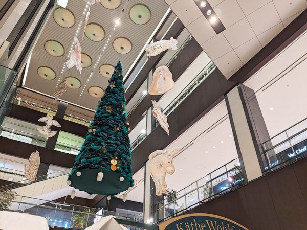 PXL_20231116_105019920