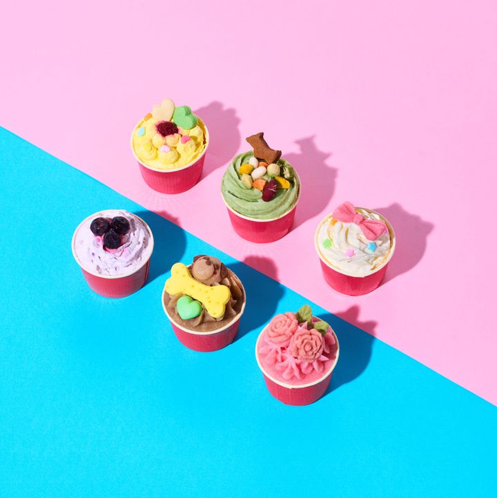 愛犬と一緒にクリスマスを。管理栄養士監修のもと手作業で作られた犬用ケーキ