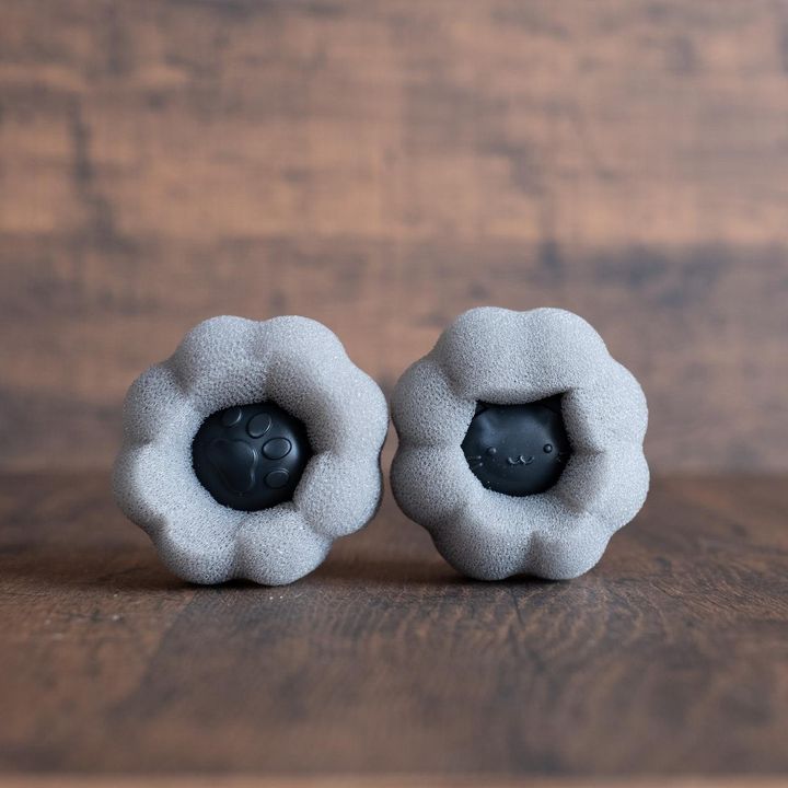 画像2: 出典：ftn_pics