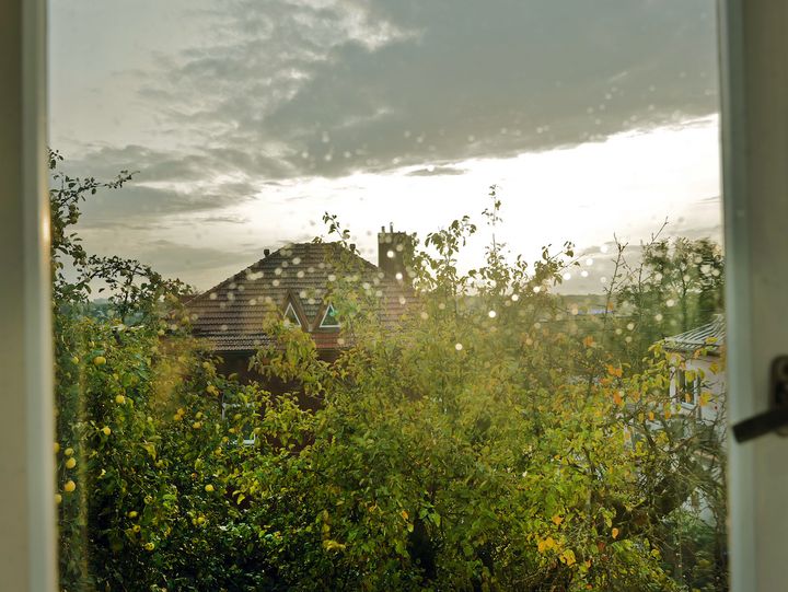 スギハラハウスの窓から、りんごの木と夕景