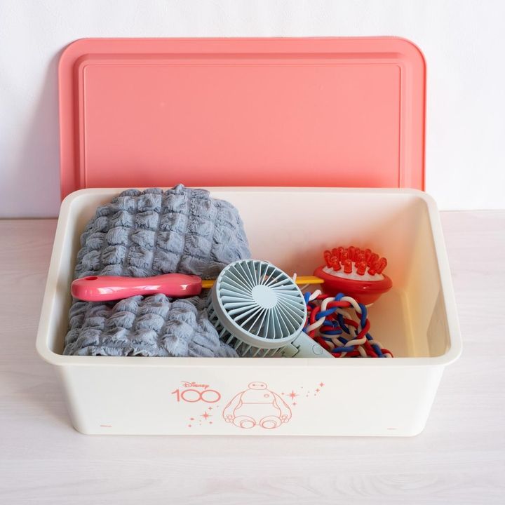 画像2: 出典：ftn_pics