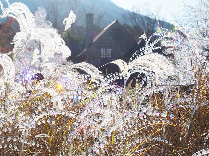 まるで中世ヨーロッパ♪「箱根ガラスの森美術館」で光と風が彩るアートな幻想空間へトリップ