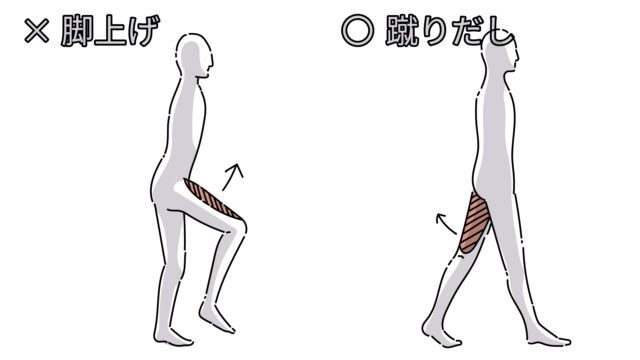 正しいウォーキングイメージ画像