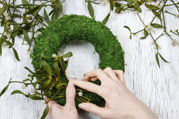 セイヨウヤドリギ