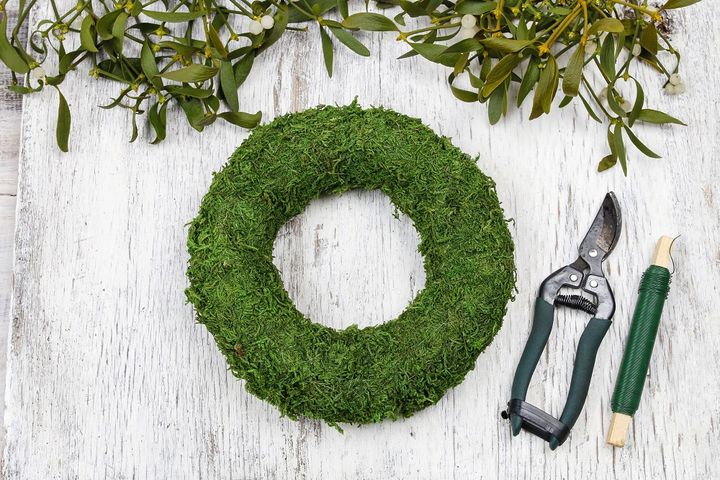 セイヨウヤドリギ