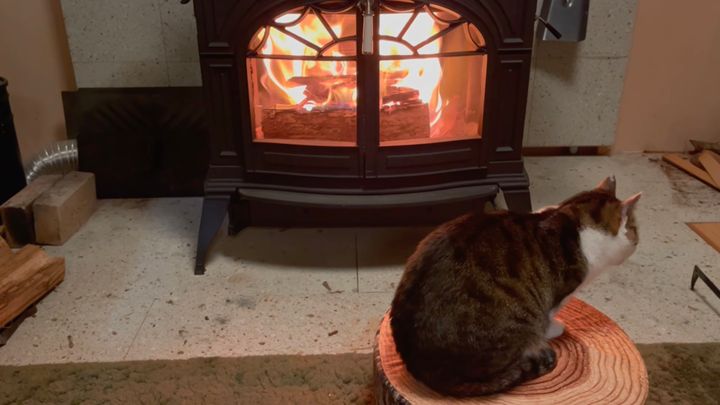 本物の薪のストーブで暖をとる猫、炎を見つめてヌクヌク丸まる