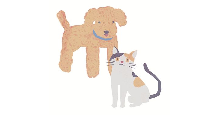 自律神経整え計画！ふだんの生活で、ゆるくできること｜不調スッキリのためのメソッド④