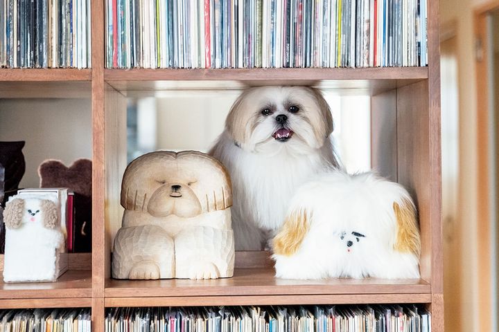 佐野美里作の木彫りモコゾウ、片岡メリヤス作のぬいぐるみモコゾウ