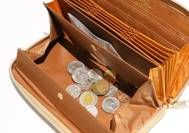 付録のアルフォンス・ミュシャ じゃばら式長財布の小銭入れ